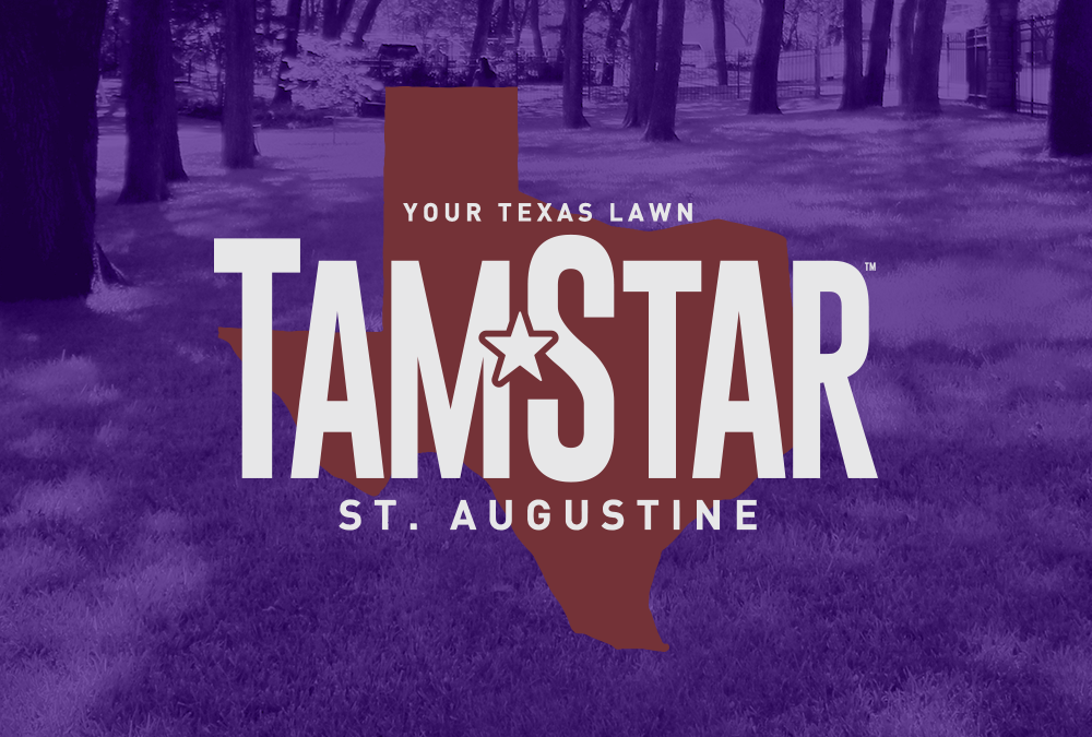 TamStar — Texas A&M
