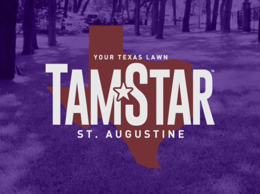 TamStar — Texas A&M