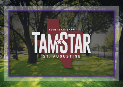 TamStar — Texas A&M