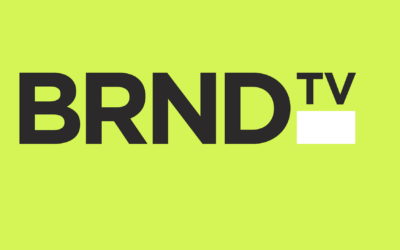 Stacie Zinn Roberts Named Marketing Expert at BRND-TV