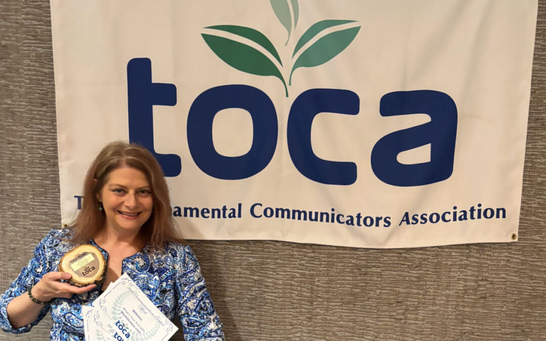 What’s Your Avocado? Wins 4 National Awards for Public Relations, Websites, and Branding